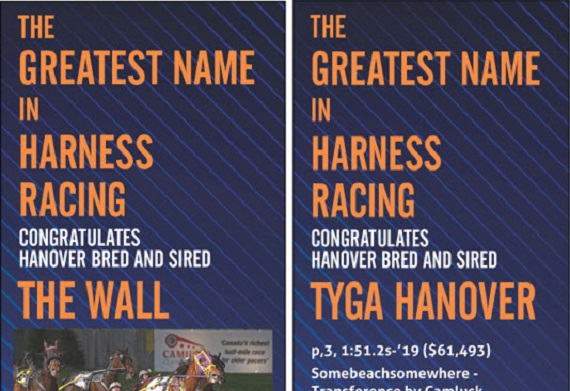 The Wall TYGA Hanover